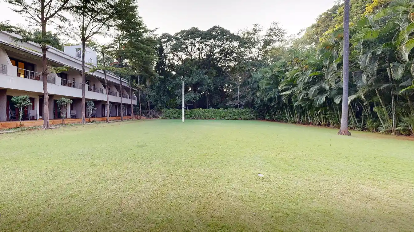 Lawn